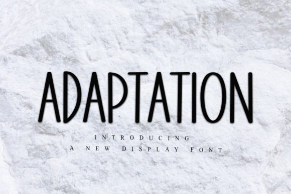 Adaptation: The Font That Elevates Your Campaign Visuals